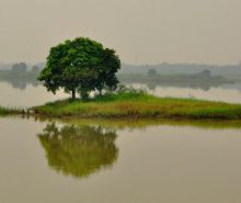 4. Danau Cibeureum