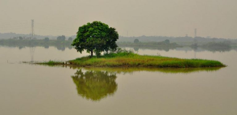 Tempat Wisata Alam di Jabodetabek untuk Menghilangkan Lelah dengan Rutinitas